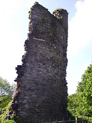 Llantrisant Castle ruins