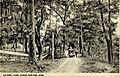 Lovers Lane Ocean Springs
