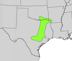 Maclura pomifera range map