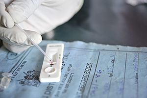 Malaria rapid diagnostic test 3