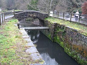 McLeave's Lock, Lagan Canal - geograph.org.uk - 1087673.jpg