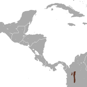 Medellin Small-eared Shrew area.png