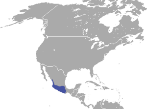 Mexican Cottontail area.png