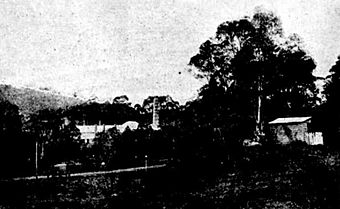 Mittagong Mineral Spring 1893