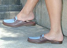 Mules loafers brown-blue low-heel