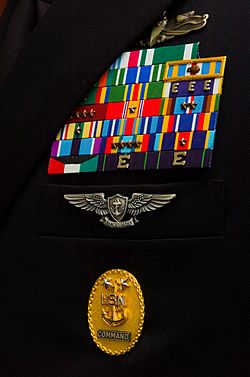 Navy Ribbons and Badges