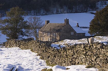 Nether Hall - geograph.org.uk - 1653501