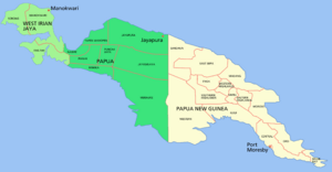 New guinea named