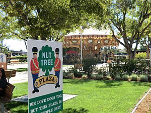 Nut Tree 824 - panoramio