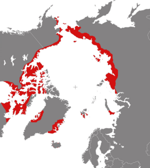 Phalaropus fulicarius distribution.png