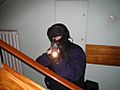 Police officer from Realisation Unit, Poznan Police Departament, combat training 2006