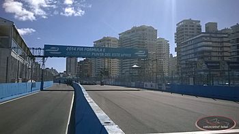 Punta del Este ePrix 2014 02