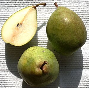 Pyrus - Köstliche aus Charneux