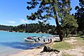 Quail Island Beach 27