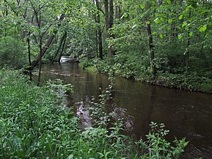 Rabbit River Wayland Michigan