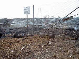 Rancho Cucamonga burned area
