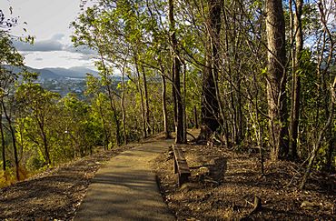Red Arrow walk on Mount Whitfield - panoramio.jpg