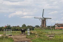 Rijpwetering, Lijkermolen no1 RM7128 IMG 0053 2021-08-03 15.15