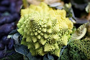 Romanesco broccoli (3)