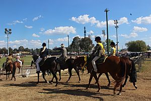 Royal Canberra Show, March 2015