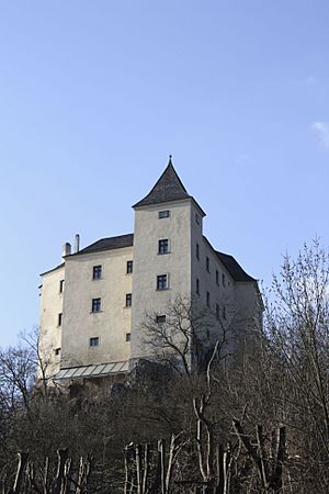 Wildegg Castle