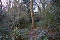 Shrubhill Common 5