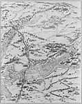 Siege de la Rochelle par louis XIII et Richelieu du 10 aout 1627 au 28 octobre 1628 planche 6 Jacques Callot 1592 1635