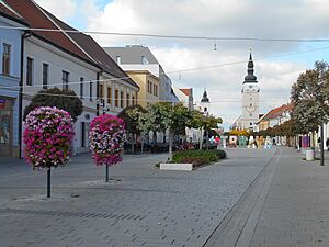 Slovakia - Trnava - Pesia zona RB04