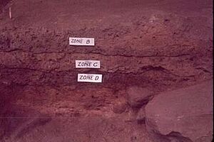 Stanfield-Worley Bluff Shelter - Stratigraphic Zones