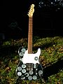 Syd Barrett Guitar