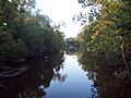 The Chenal