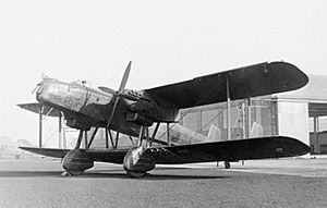 The Royal Air Force in the 1930s HU58005