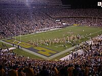 Tiger stadium