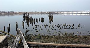Tottenville ferry pilings jeh