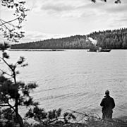 Tugboat pulling logs in Finland in 1930s