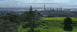 View of Auckland from outside city