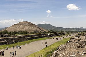 15-07-13 Teotihuacan la Avenida de los Muertos y la Pirámide del Sol-RalfR-WMA 0251
