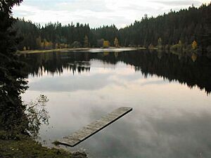 2003-10-11-Tanner-Moor-Rubener-Teich.jdg