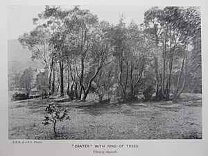 A chalybeate spring in natural state ('Crater' with trees) J.B Jaquet, 1901