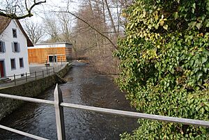 Aabach (Seetal) limo inter Boniswil kaj Seengen 247