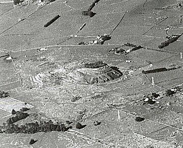 Aerial view of East Tamaki, 1949.jpg