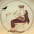 Apollo black bird AM Delphi 8140