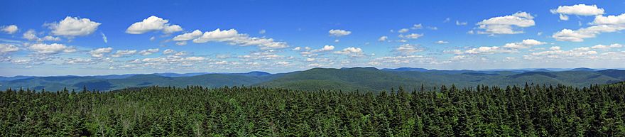 A forested expanse of mountains under a blue sky with fluffy white clouds