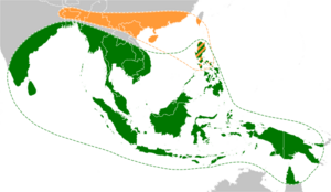 Banana ancestors (Musa acuminata and Musa balbisiana) original range
