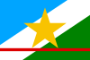 Flag of State of Roraima