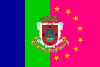 Flag of Camargo