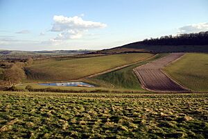 Beacon Hill from Wheely Down - geograph.org.uk - 831810