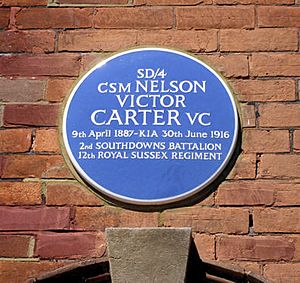 Blue Plaque VC Memorial in Greys Road Eastbourne - geograph.org.uk - 701592