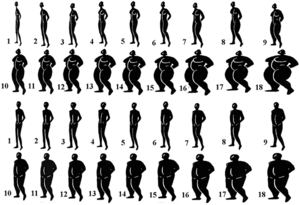 Body images for obesity