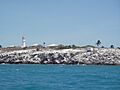 Booby Island Lightstation from the sea